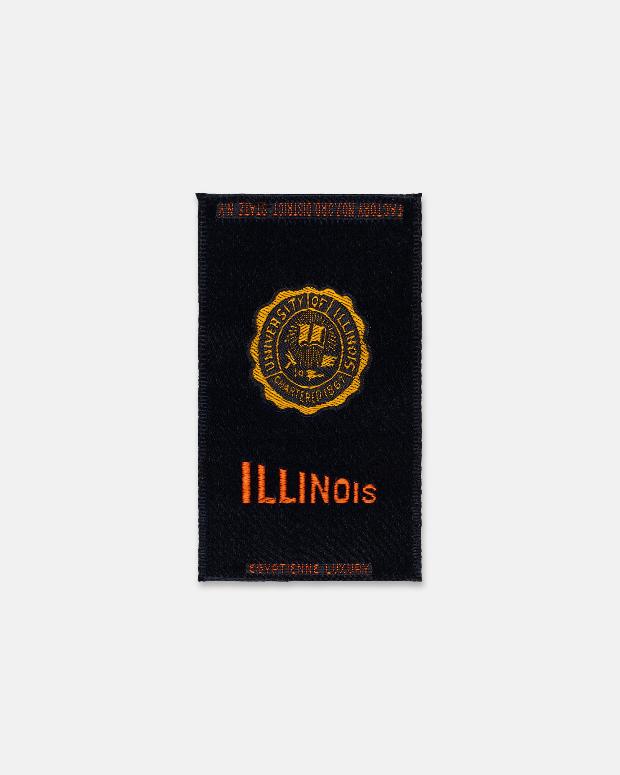 University Of Illinois Silk Paperweight