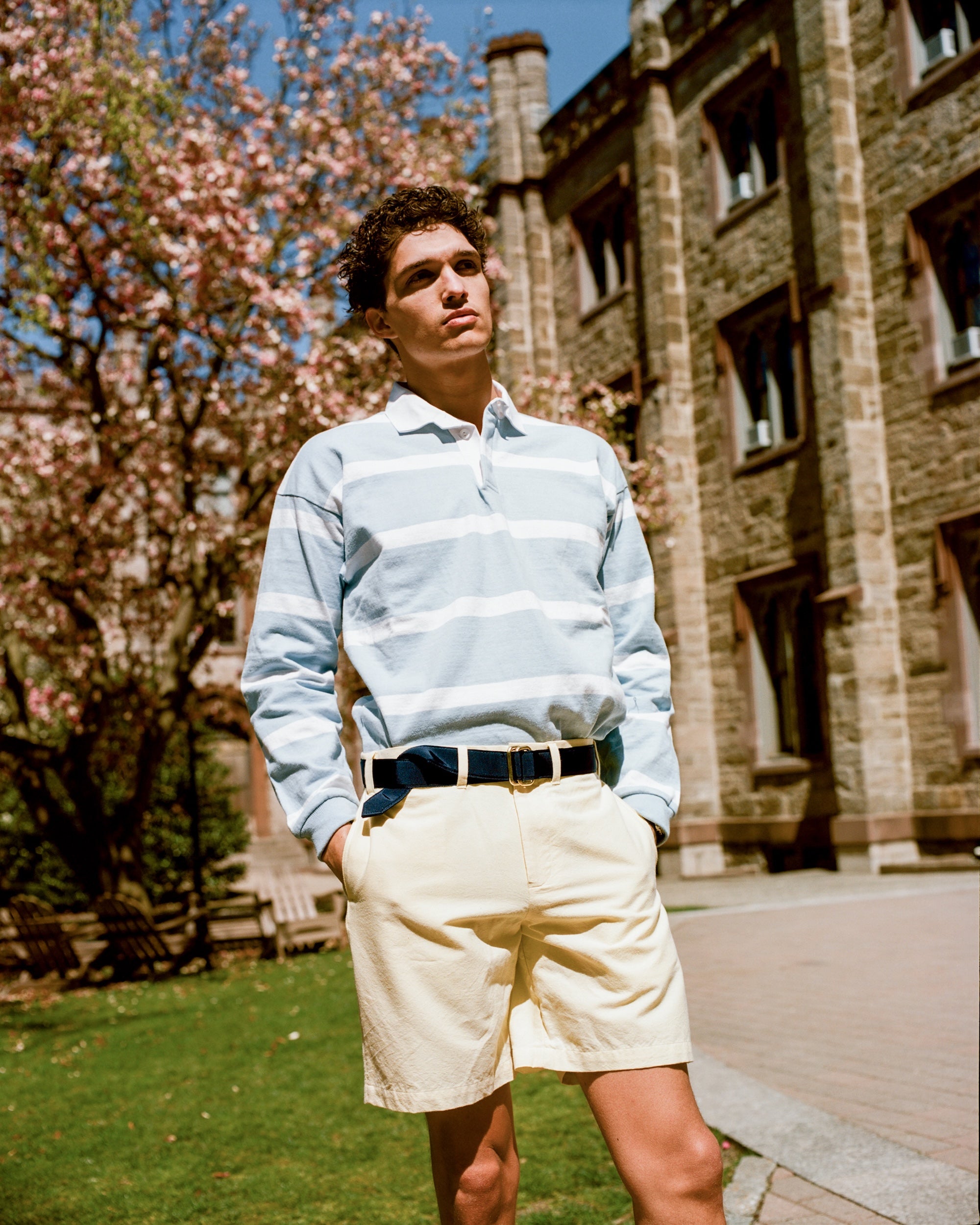 Yellow Oxford Cloth Shorts - Trim Fit