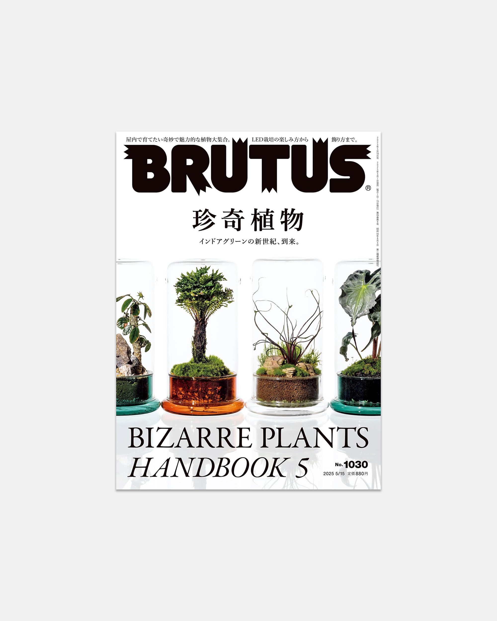 Brutus: May 2025