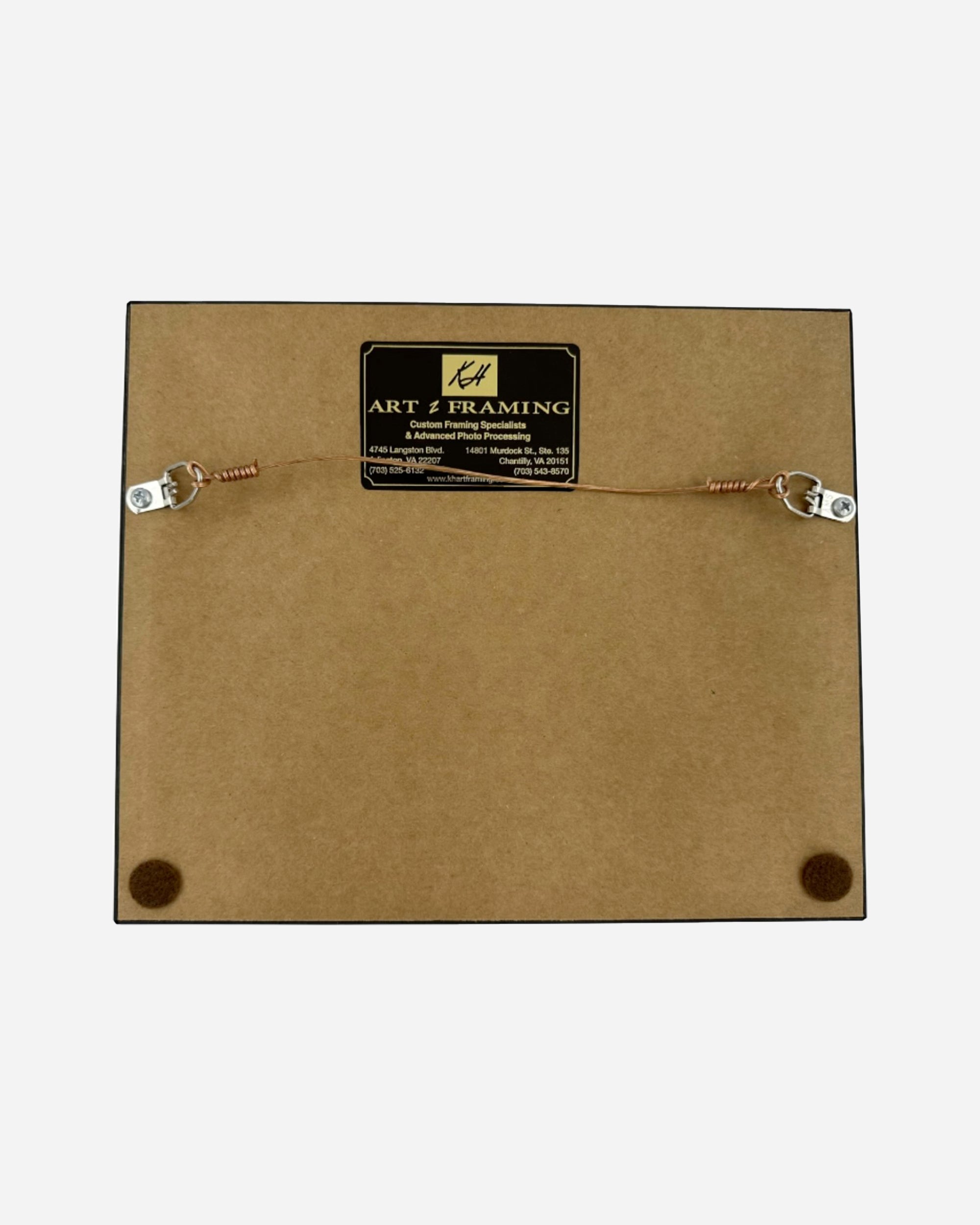 Vintage Hotel Royal Nice French Riviera Framed Luggage Label