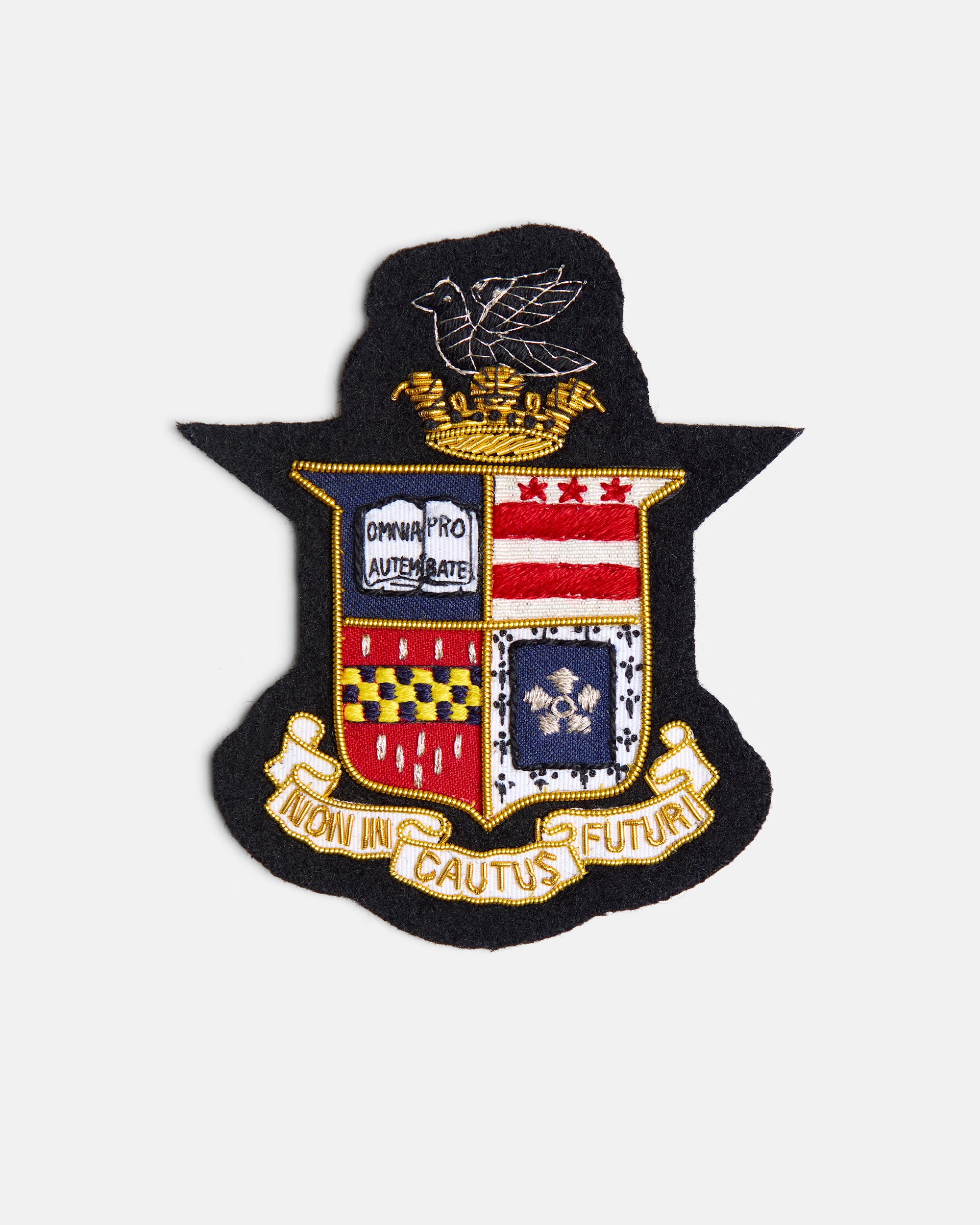Washington & Lee University Vintage Blazer Badge