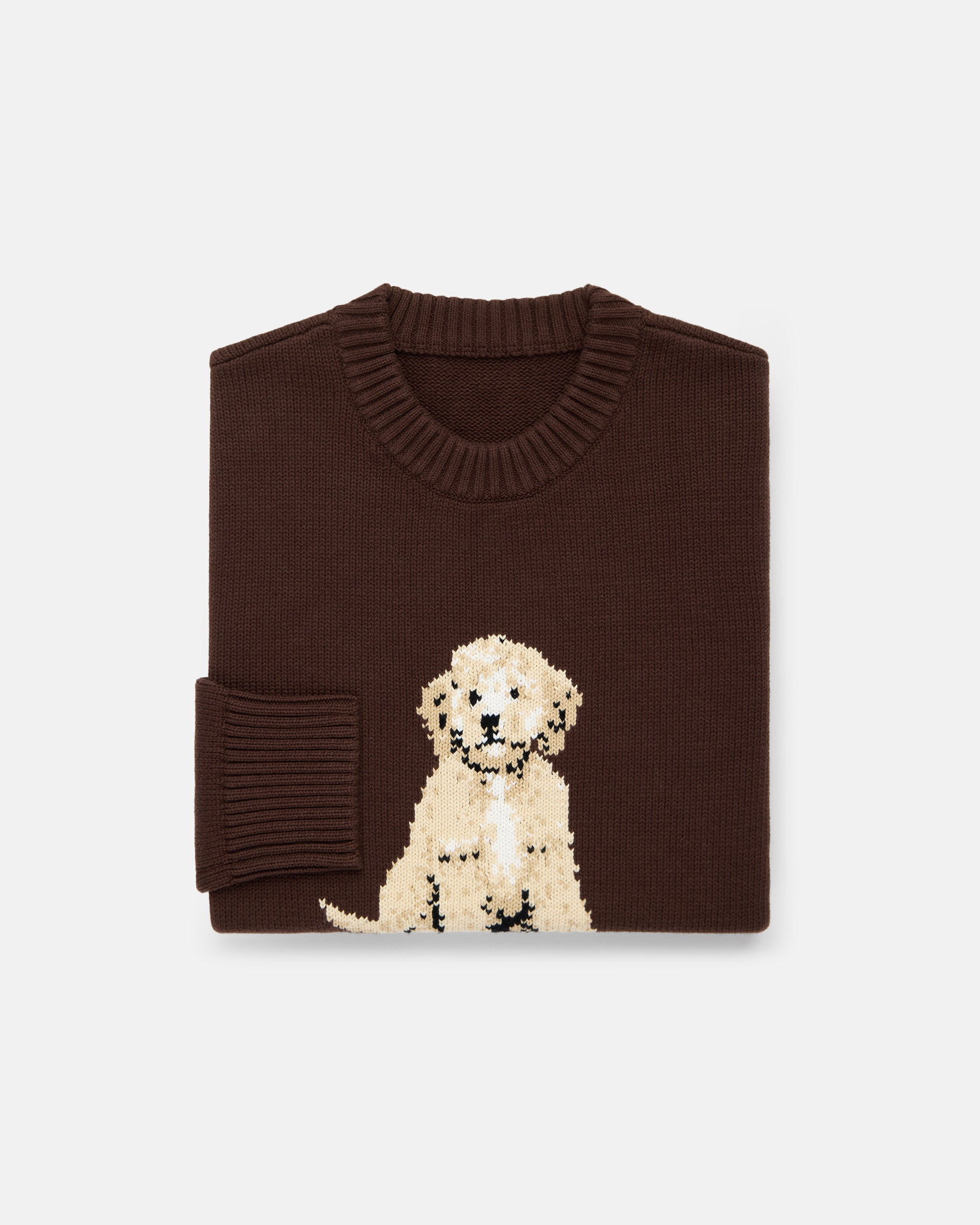 Doodle Intarsia Knit Cotton Sweater