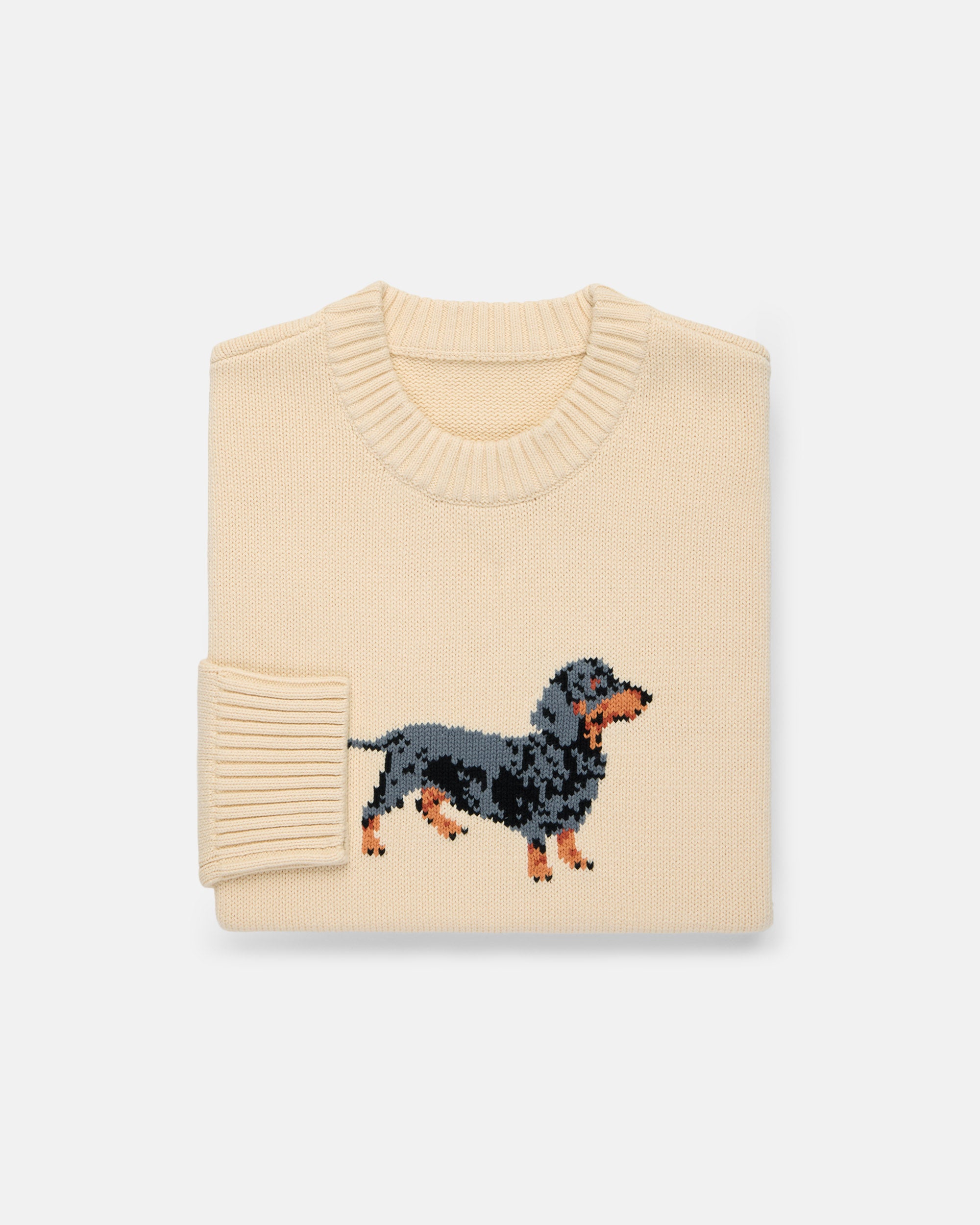 Dachshund Intarsia Knit Cotton Sweater