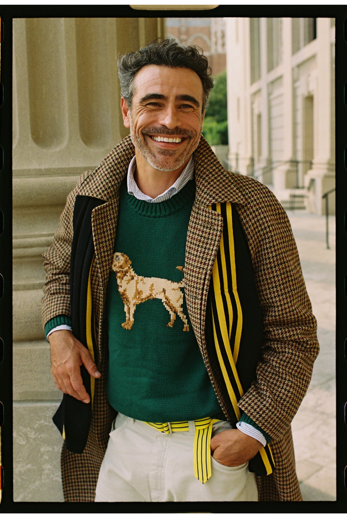 Retriever Intarsia Knit Cotton Sweater