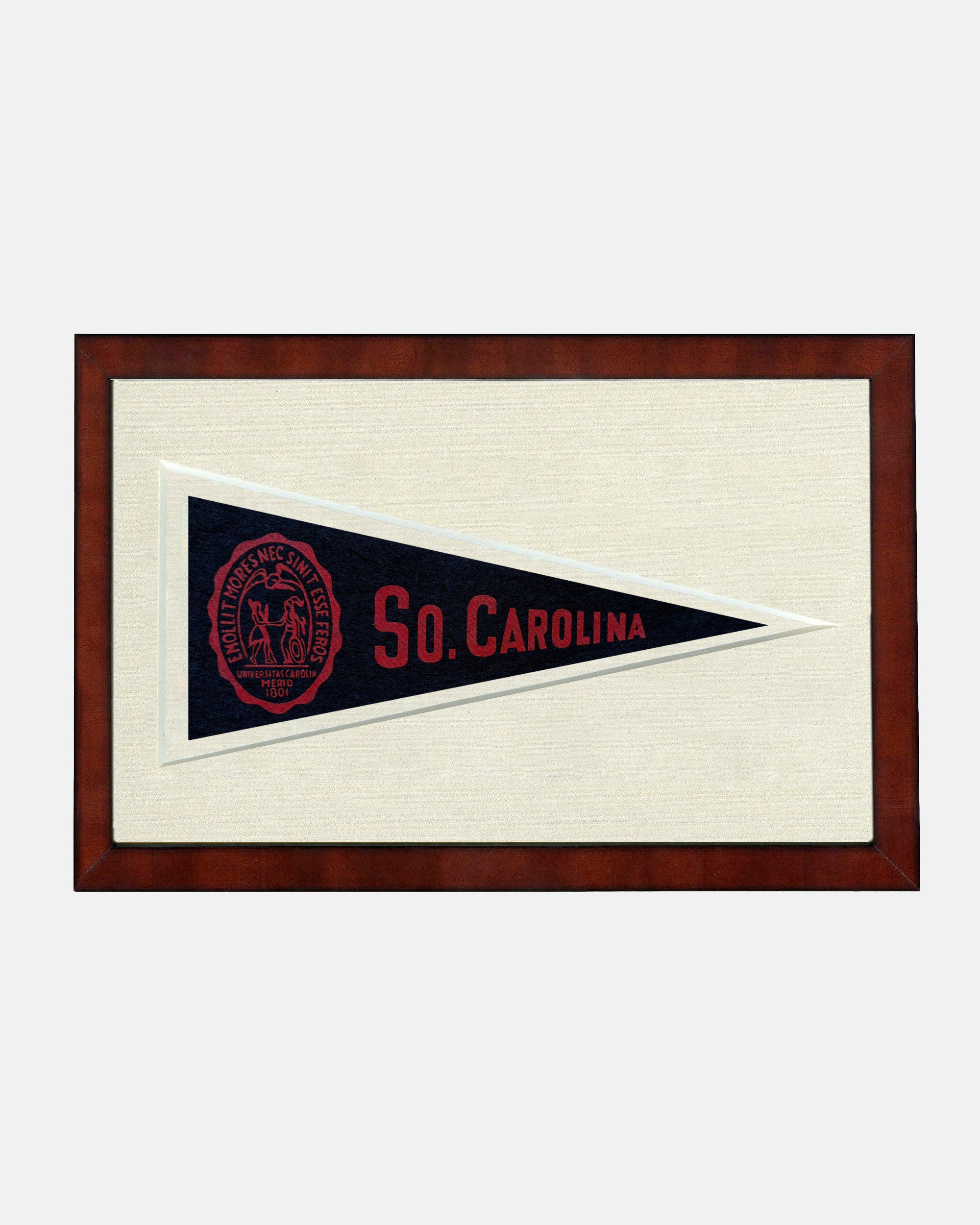 University of South Carolina Framed Vintage Pennant