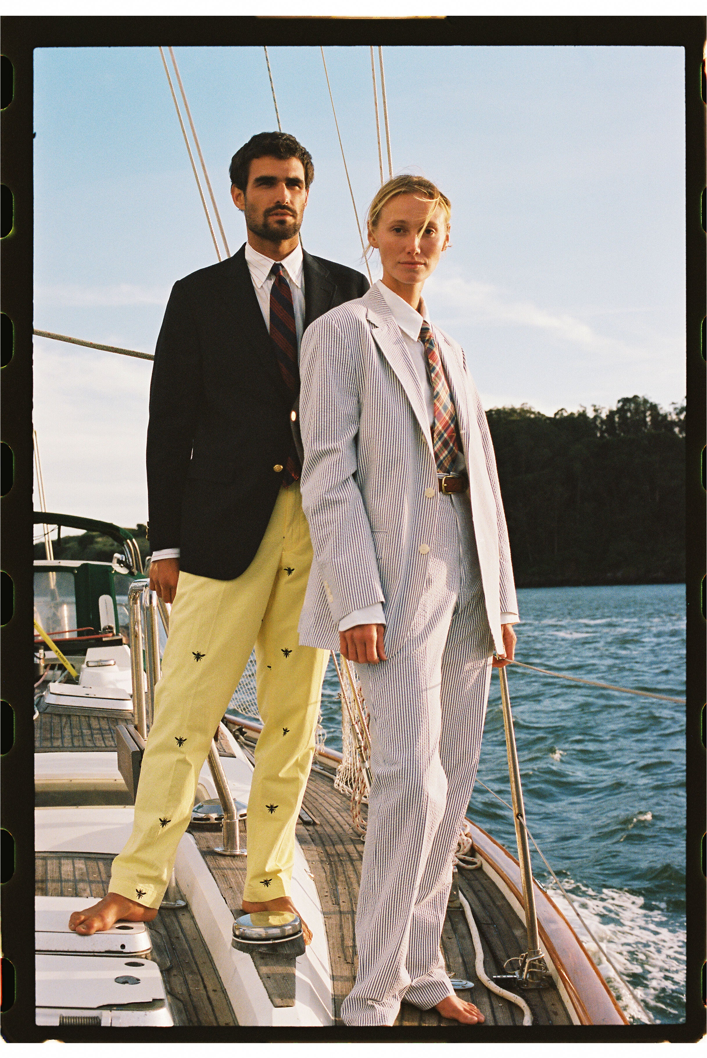 Wasp Embroidered Cotton Twill Pant