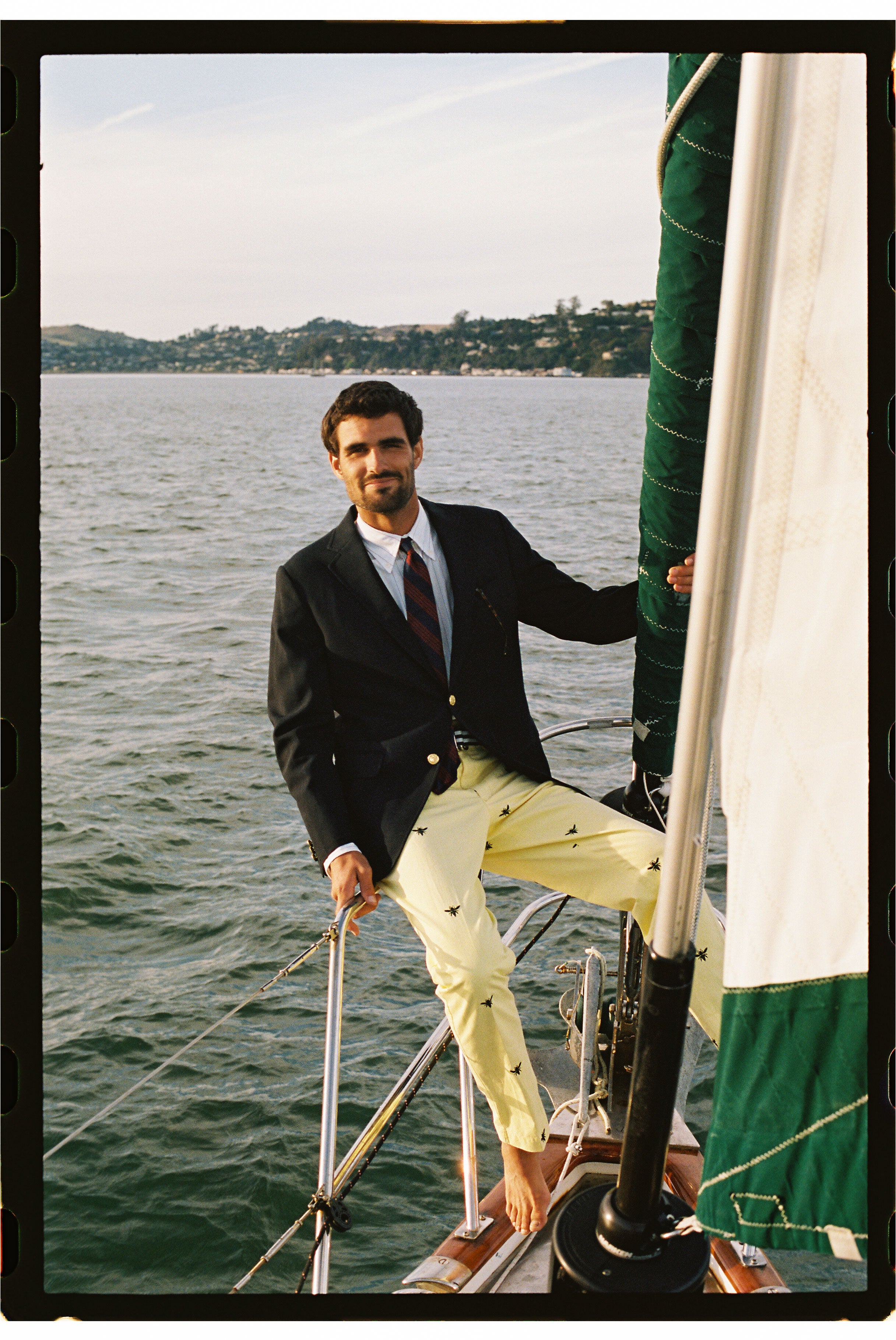 Wasp Embroidered Cotton Twill Pant