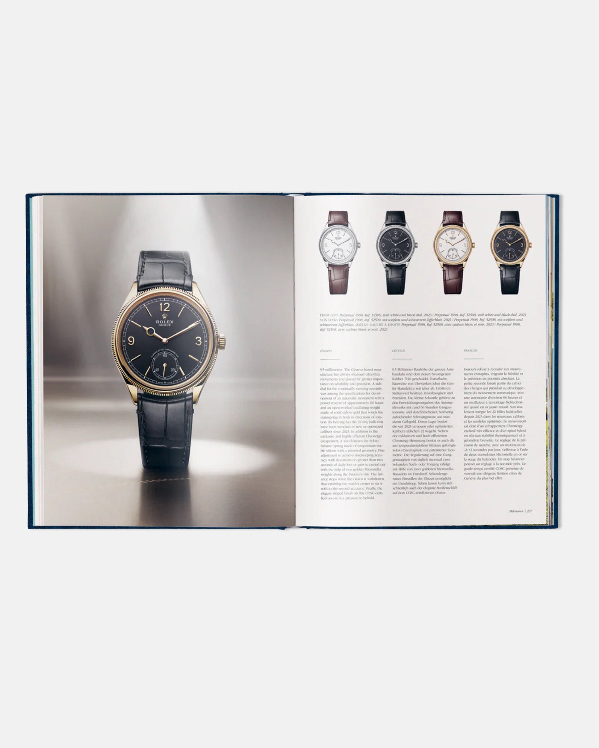 The Watch Book Rolex (Special Luxury Edition)