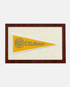 Colorado Framed Vintage Pennant