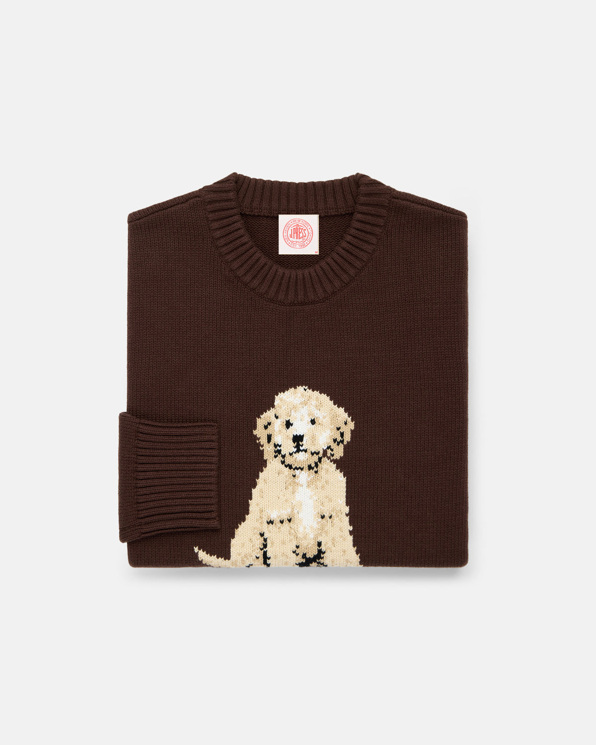 Doodle Intarsia Knit Cotton Sweater
