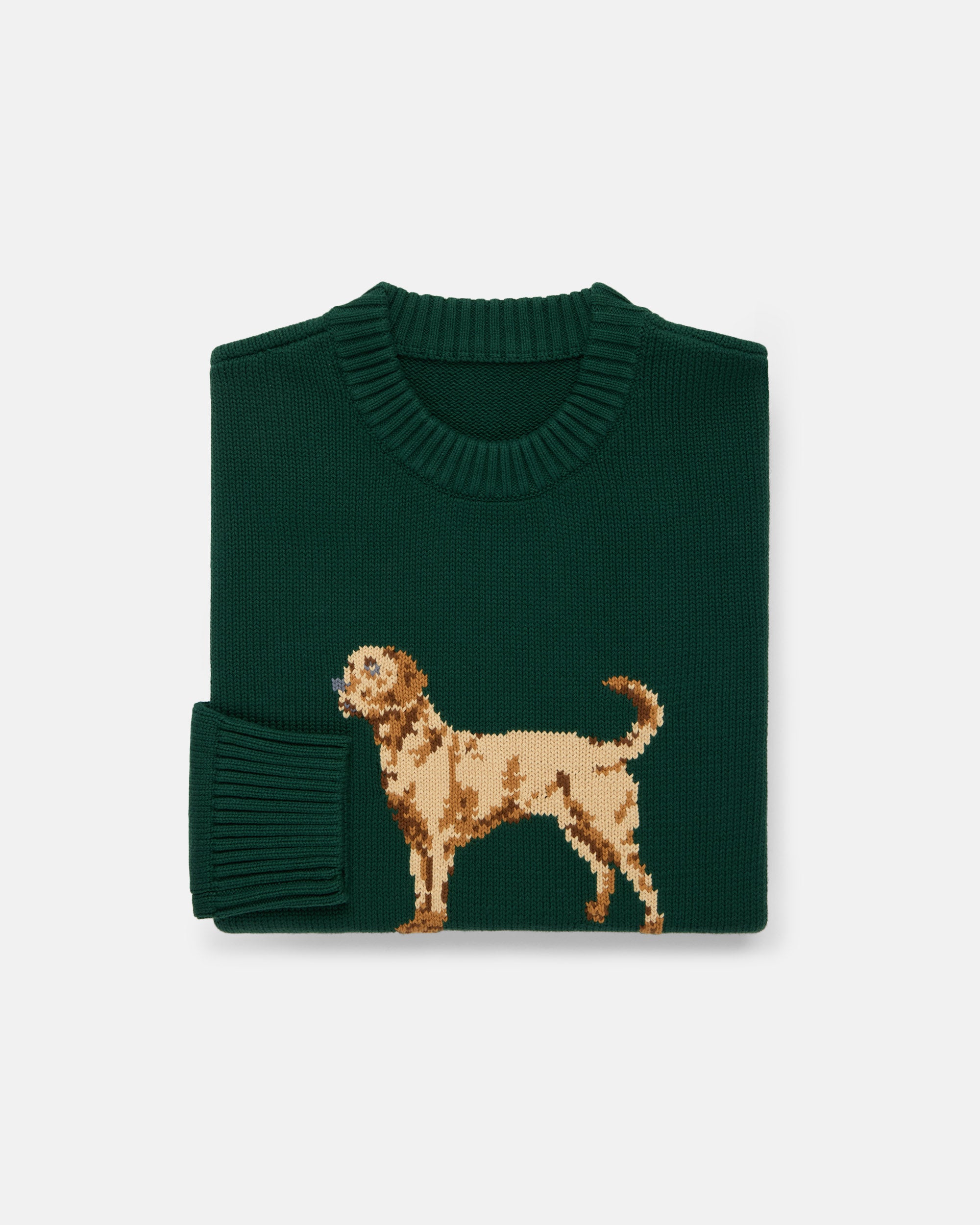 Retreiver Intarsia Knit Cotton Sweater