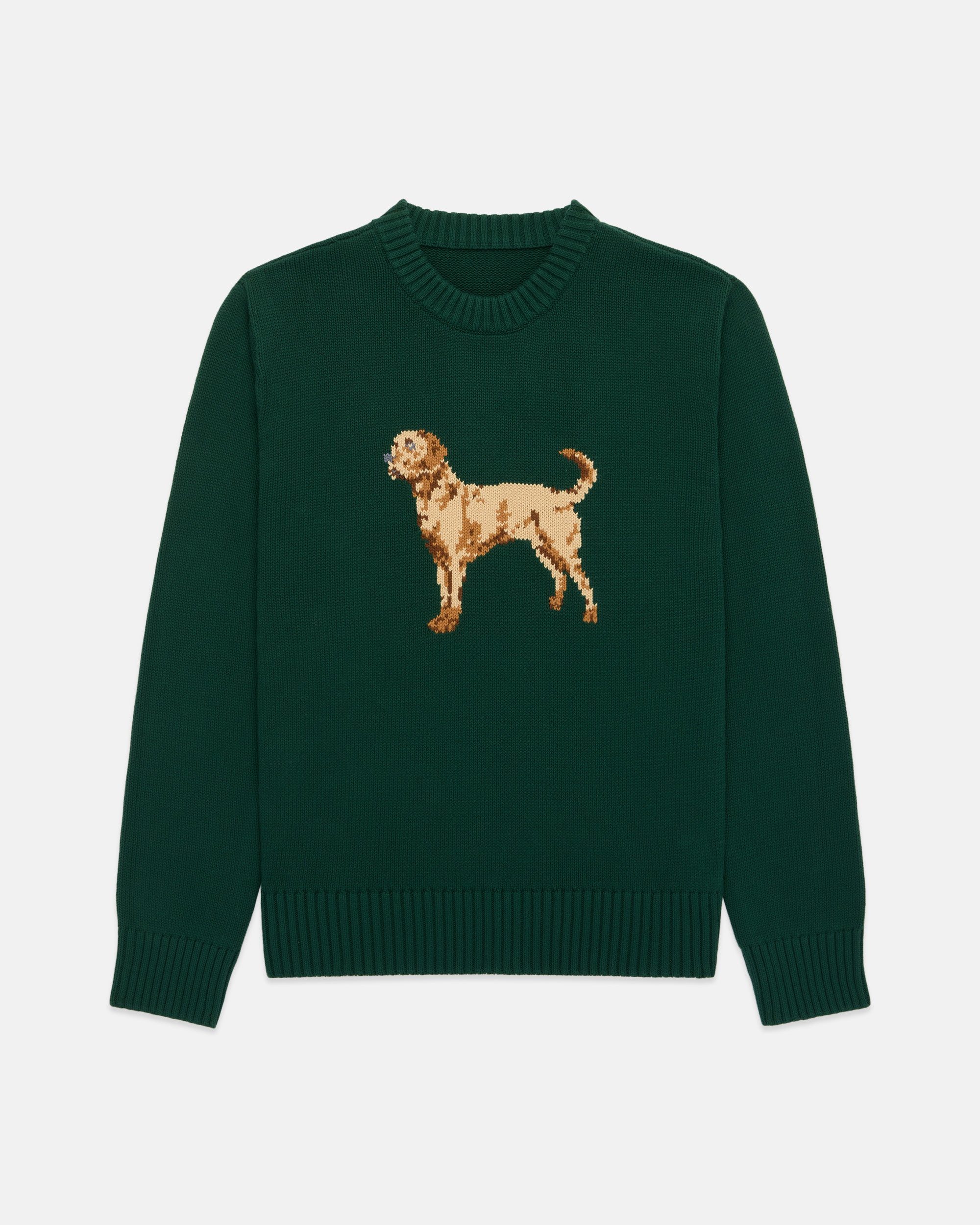 Retreiver Intarsia Knit Cotton Sweater