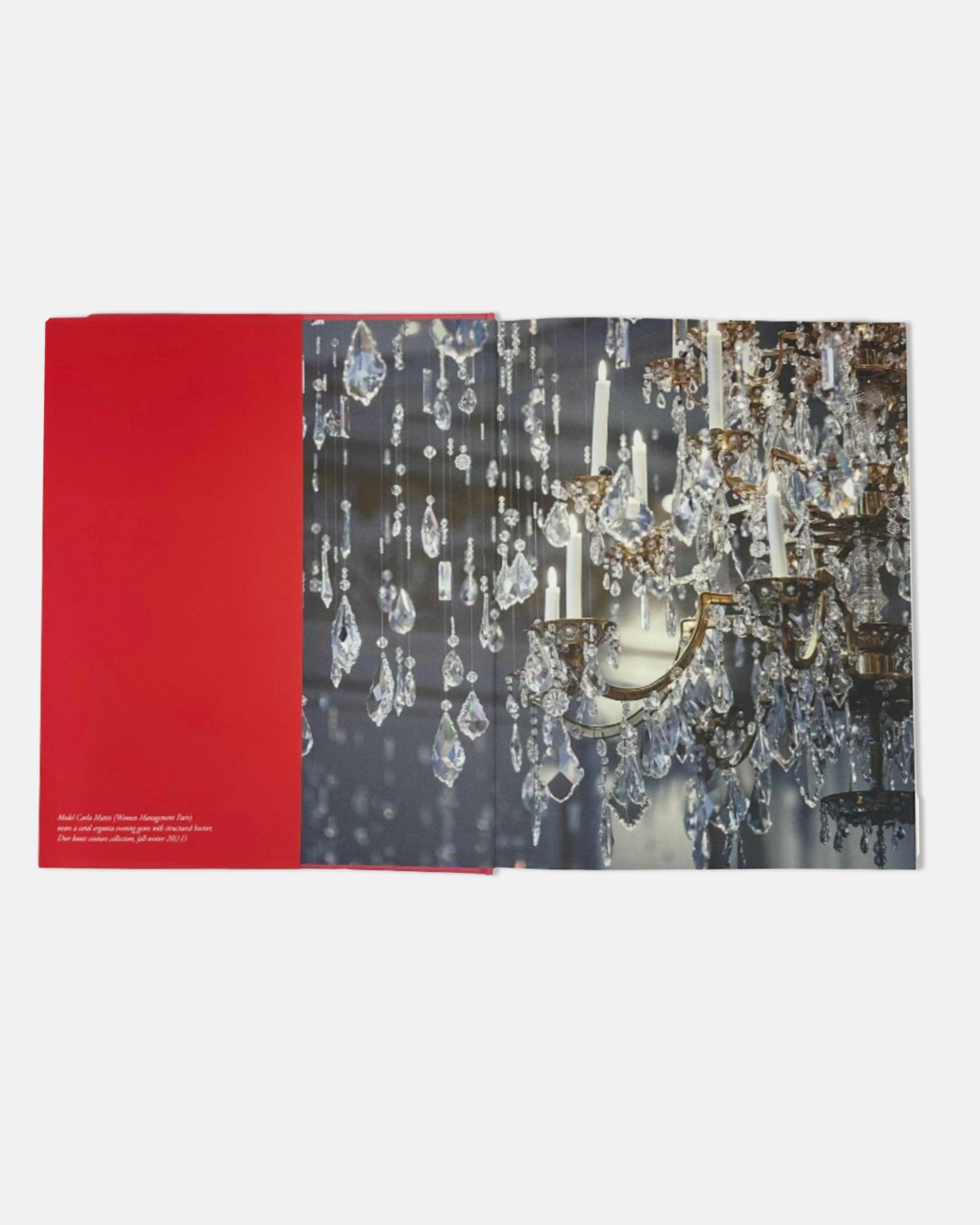 Hotel Plaza Athenee by Francois Simon Assouline 2015 Book