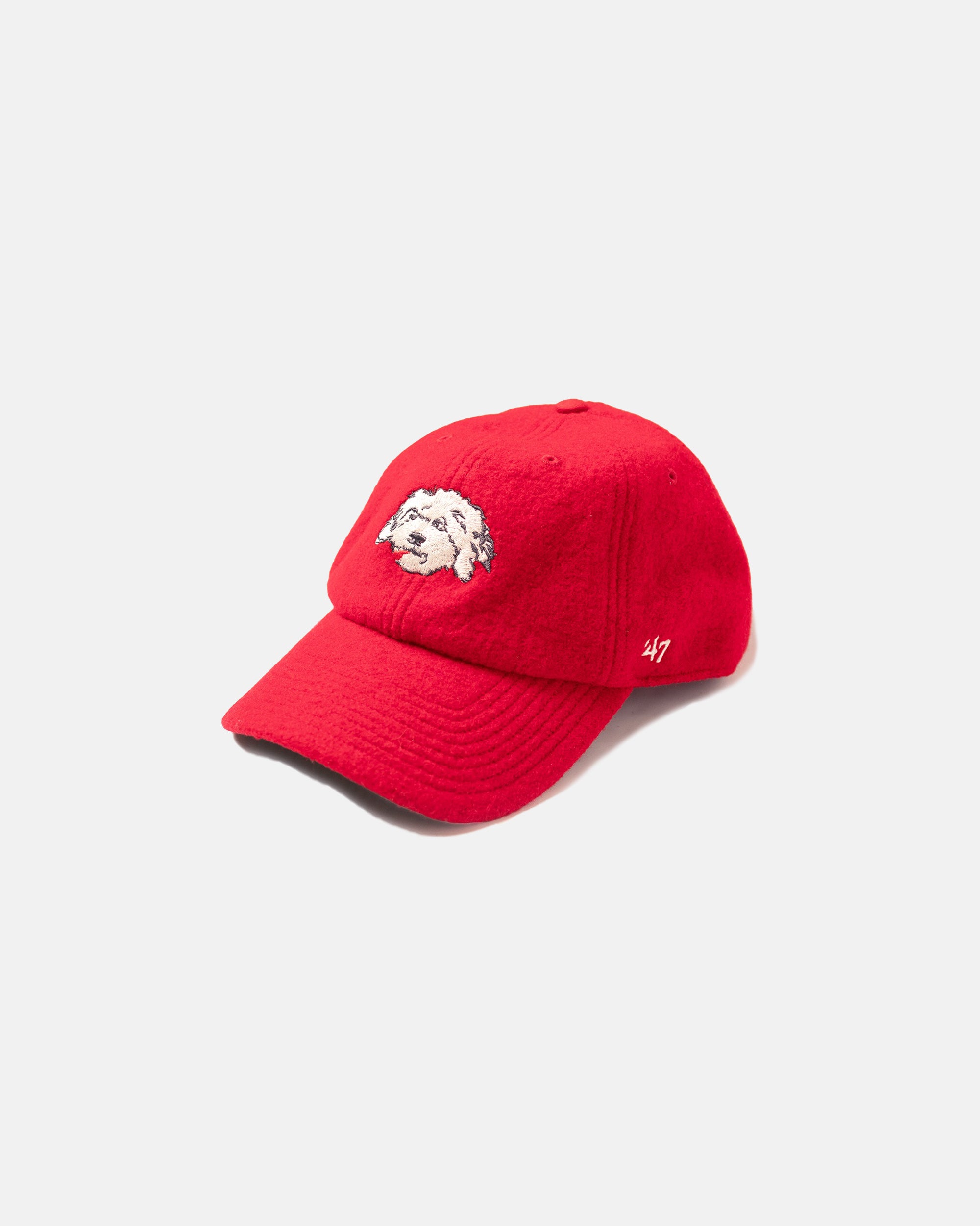Red Shaggy Dog Baseball Cap
