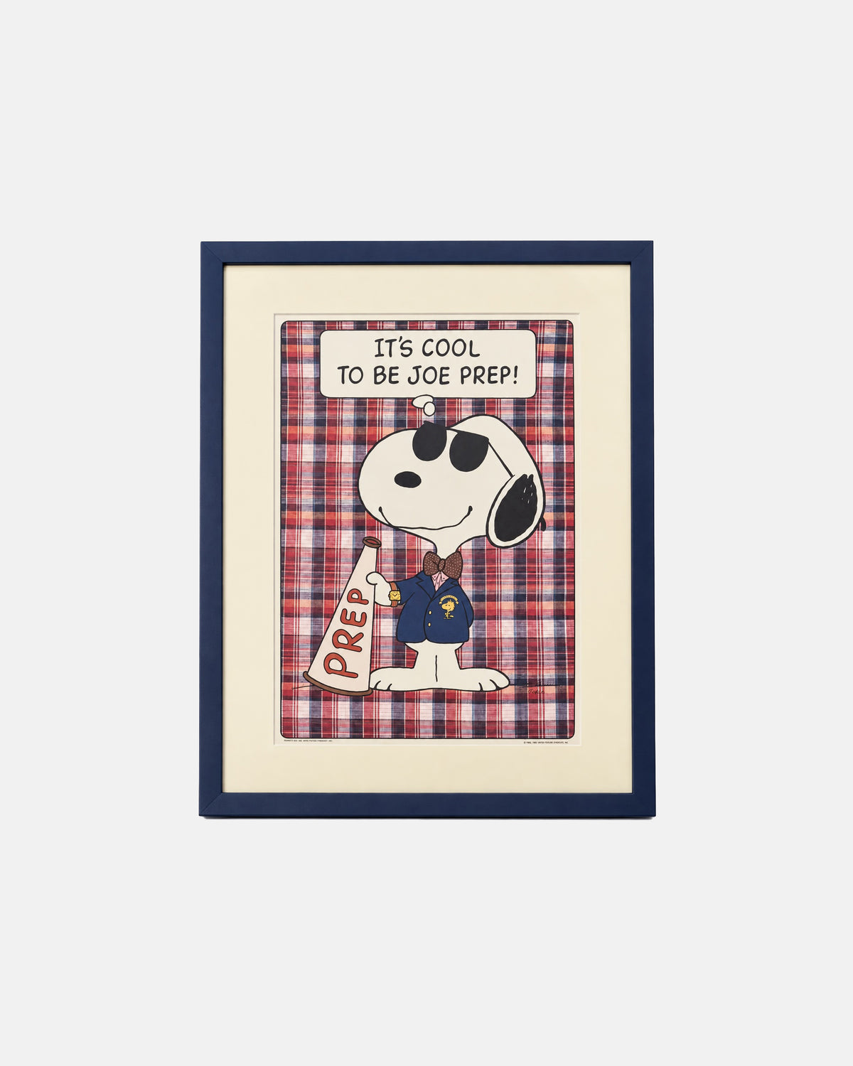 Vintage Snoopy Joe Prep Peanuts Framed Poster Charles Schulz 20 x 20.5 in