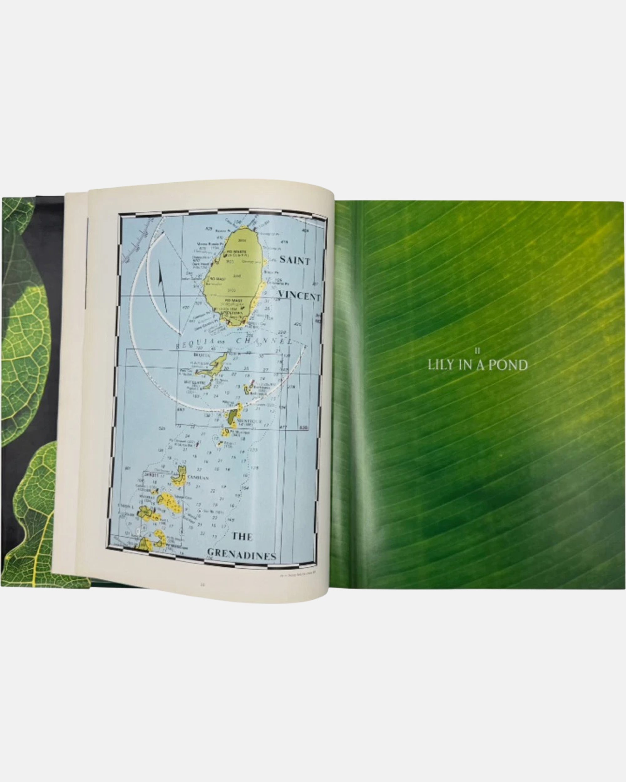 Mustique by Roger Vaughan 1994 Hardcover First Edition Caribbean Island